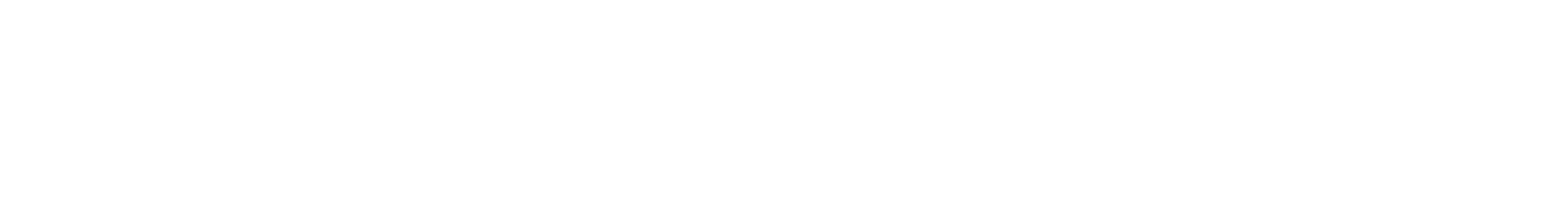 MistryX primary logo in white