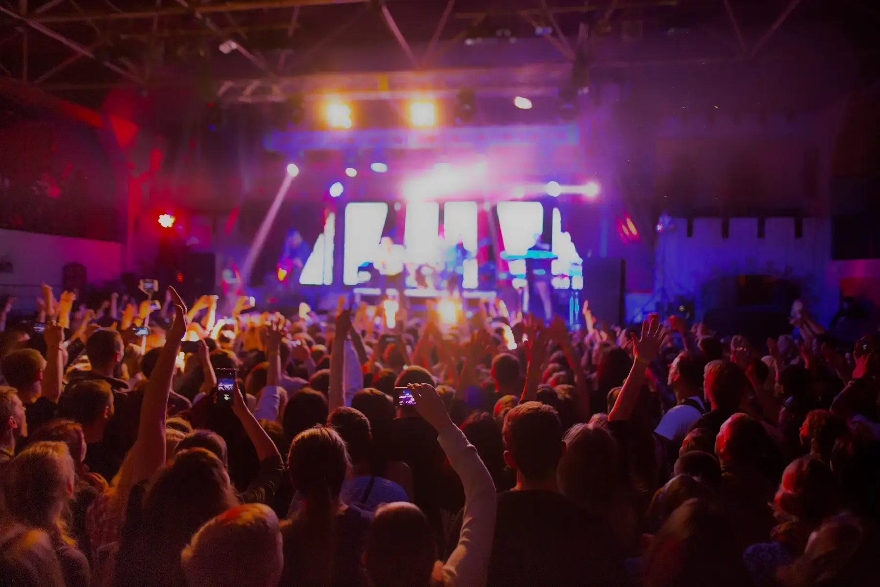 Crowd enjoying a live concert in a vibrant venue, illustrating the energy and scale of the entertainment and experiences industry